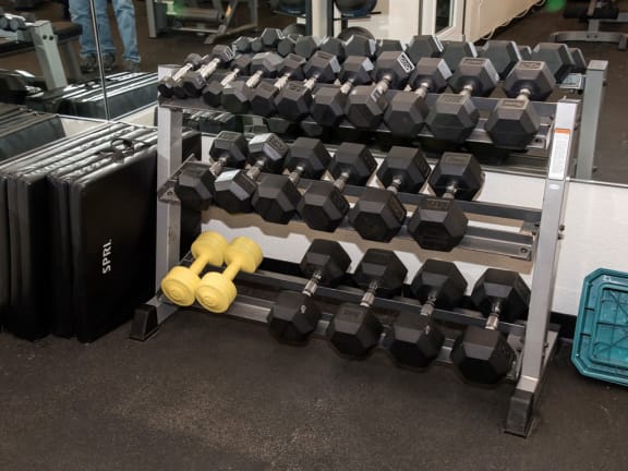 Fitness room free weights