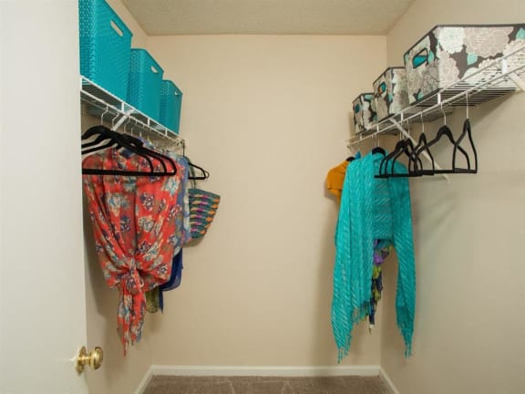 Walk-In Closets With Built-In Shelving at Litchfield Oaks Apartments, Pawleys Island, SC, 29585