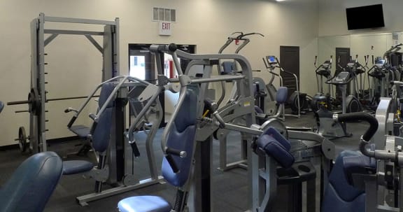 Fitness center - cardio and weight training