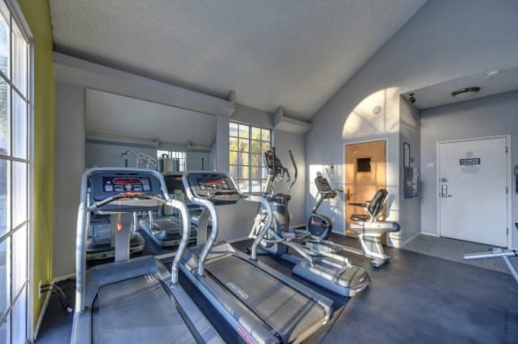 Fitness Center with Treadmills, Ellipticals and Excercise Bikes