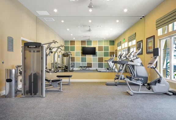 Professional-Grade Fitness Center, at Tavera, CA, 91913