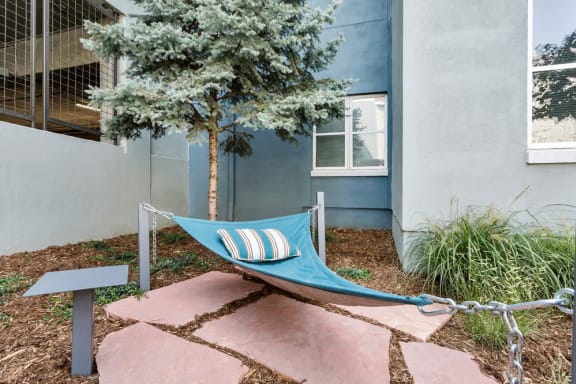 Courtyard Next to Building with Blue Hammock