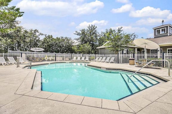 Swimming pool with lounge seating surrounded by native landscaping