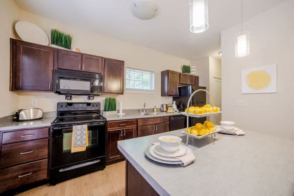 Modern Kitchen at Monon Living, Indianapolis, IN, 46220