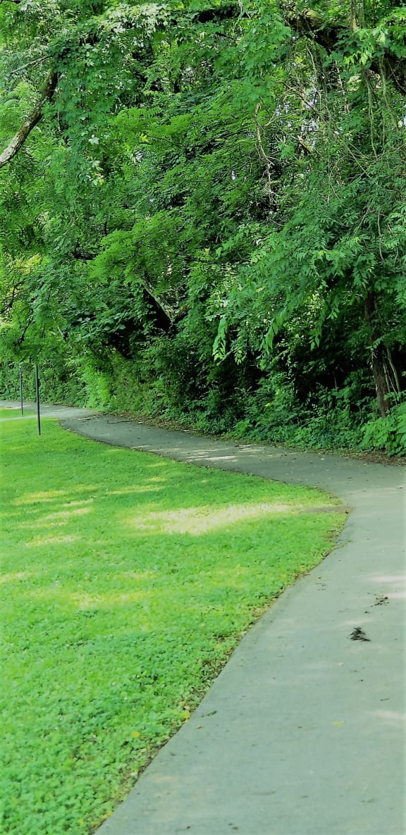 Pet Friendly Apartments in Knoxville, TN Eagle Pointe Amenities