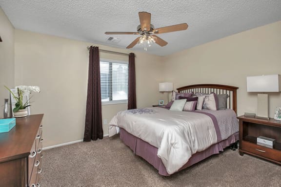 Ceiling Fan