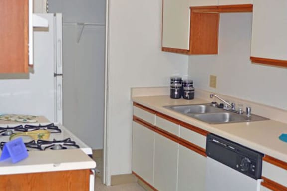apartment kitchen with dishwasher
