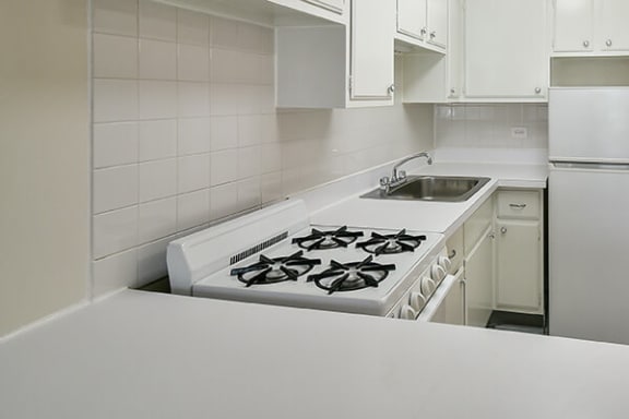 apartment kitchen with gas range