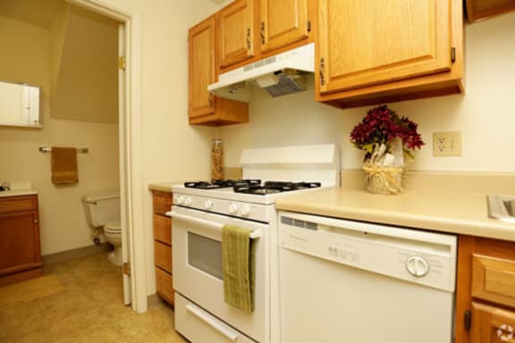 updated kitchen at South Bend IN apartment