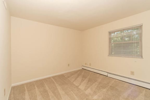 apartment carpeting