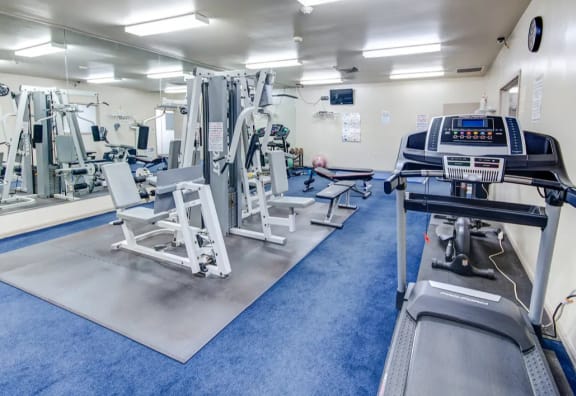 Large Fitness Center with updated equipment at Walnut Creek Apartments in Kokomo, IN