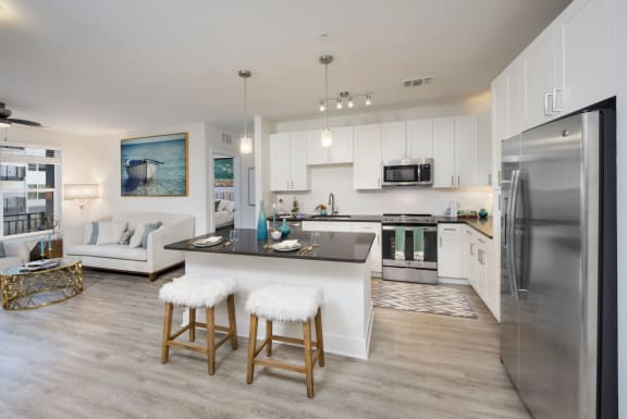 Gourmet kitchens with stainless steel appliances at Anchor Riverwalk, Tampa, Florida