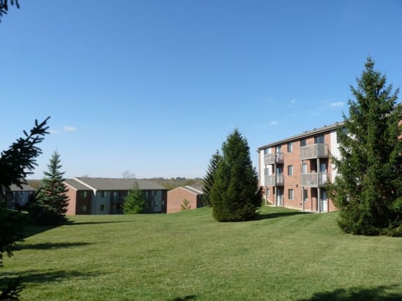 Expansive Lawn and Wood Area at Fox Run Apartments in Dayton, OH