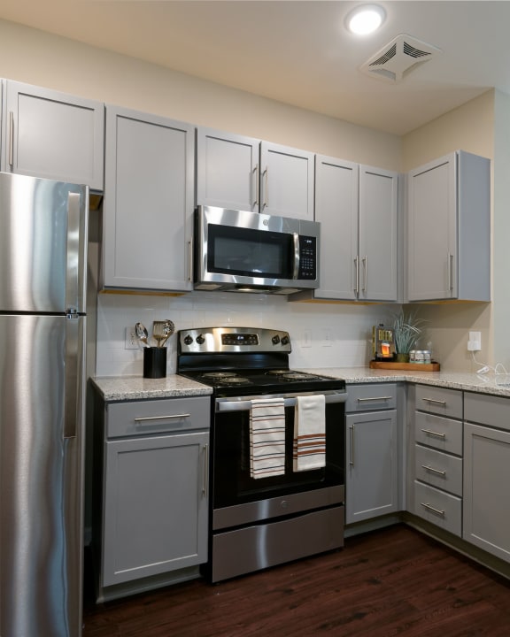 Upscale Stainless Steel Appliances at Lullwater at Jennings Mill, Athens, 30606