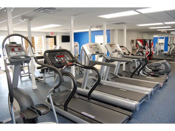 Cardio Machines In Gym at The Villas at Northstar, Michigan, 48105