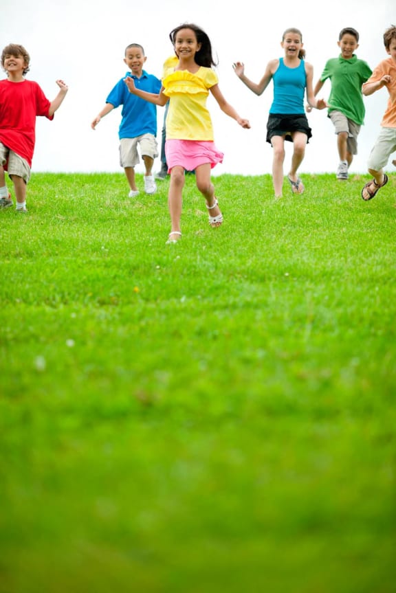 Longfellow Heights Apartment and Community Amenities