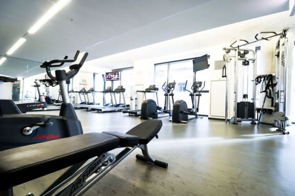 Pro-grade fitness center. 1333 S Wabash luxury apartment amenities. Discover more apartment amenities and our pet friendly apartments Chicago.