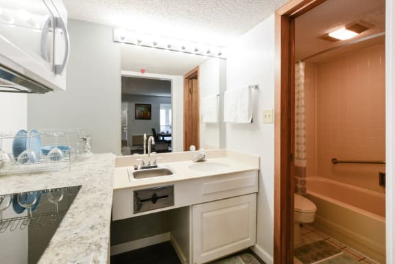 studio kitchen with bath at Plato's Cave Apartments Branson, MO 65616