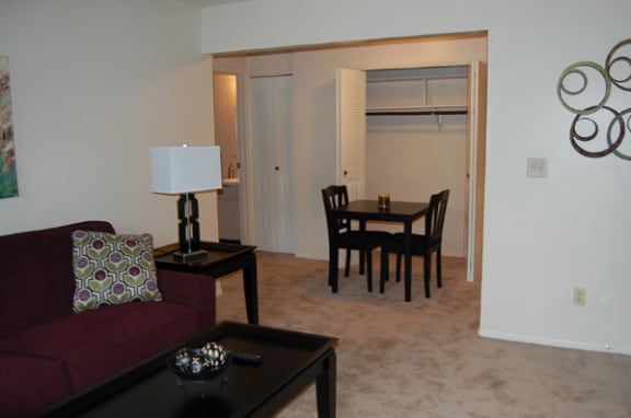 Additional Closet Space at Brookside Apartments in Springfield, MI