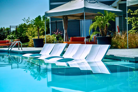 Aquatic Loungers in Pool on Sun Ledge
