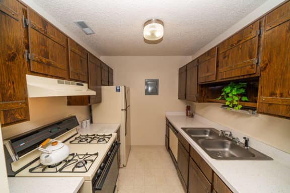 Kitchen with Dishwasher Offered at Seville Apartments in Kalamazoo, MI