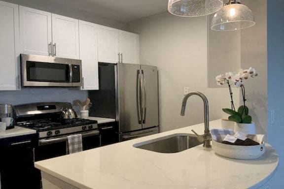 Renovated Kitchens with Quartz Countertops and Stainless Steel Appliances at 1221 S Eads Apartments, Arlington, VA