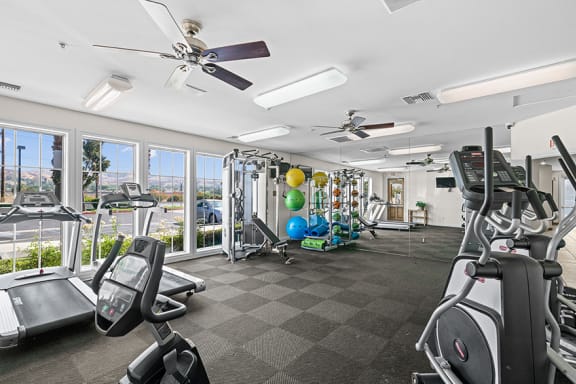 Barton Vineyard Apartments - 24-hour fitness center