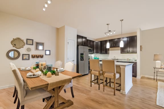 Alexander Village luxury kitchen