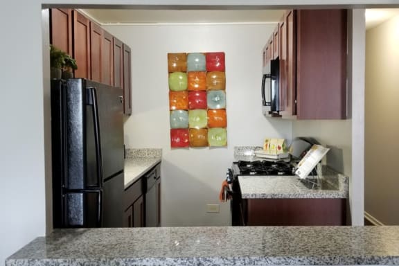 Granite Counter Tops In Kitchen at 7251 at Waters Edge, Chicago, 60649