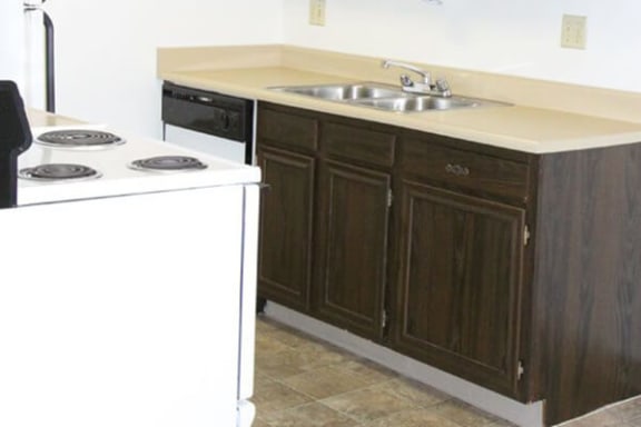 fully-equipped kitchen with dishwasher