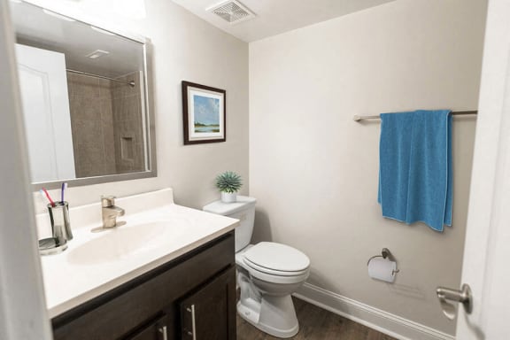Luxurious Bathroom at Padonia Village Apartments, Maryland, 21093