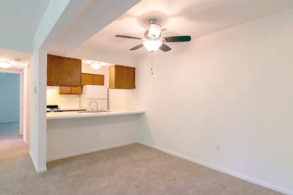 apartment ceiling fan