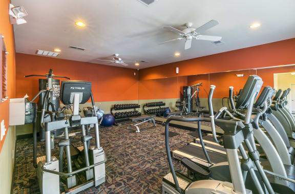24 Hour Fitness Center with Free Weights at Aventura at Forest Park, St. Louis, MO 63110