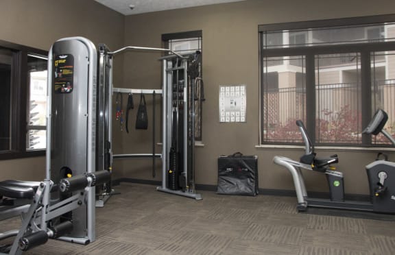 Lifting and cardio workout machines