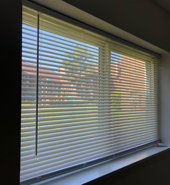 Blinds Included at Candlewyck Apartments, Michigan, 49001