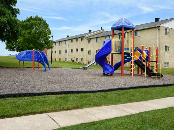 New outdoor playground with jungle gym for children