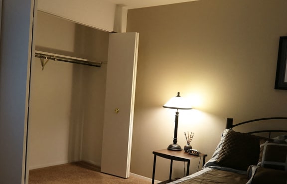 Walk-in-closets at The Meadows Apartments, Wisconsin, 53714