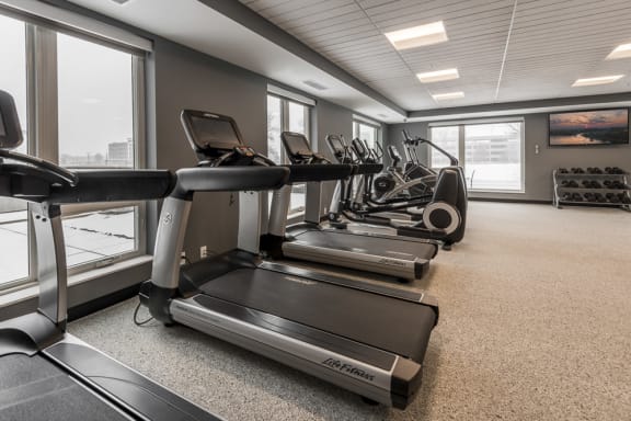 Row of treadmills in fitness center at The Preserve