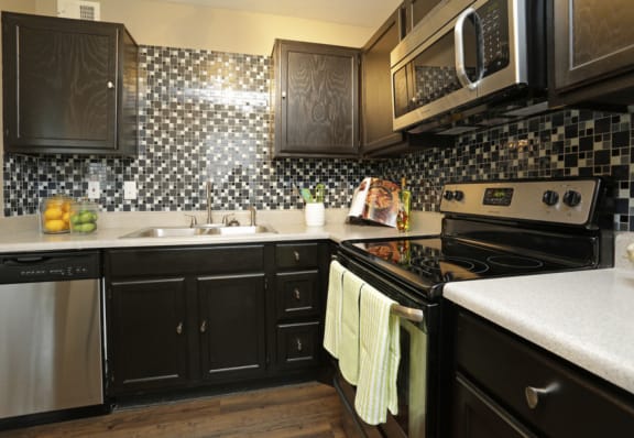 Stainless Steel Electric Range Offered at Water Ridge Apartments, CLEAR Property Management, Irving