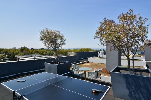 Thumbnail 9 of 16 - Rooftop Ping Pong Table