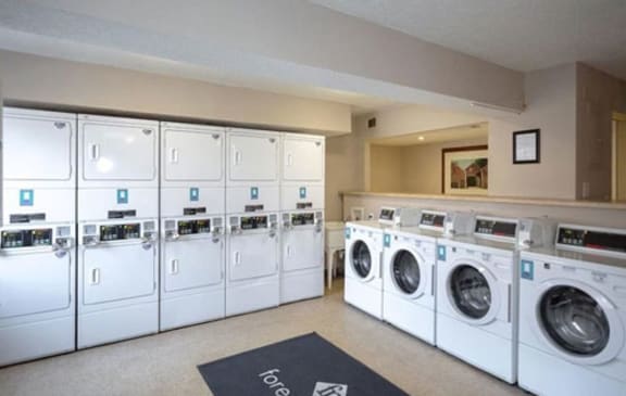 onsite laundry facility at Forest park