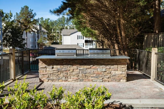 Courtyard Grilling and Social Areas at Park Summit Apartments, Decatur, GA 30033