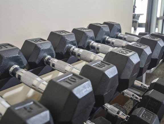 Free Weights at the Fitness Center