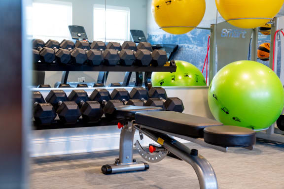 Free weights in fitness center at Governor Square Apartments, 1825 Jefferson Drive W, Carmel
