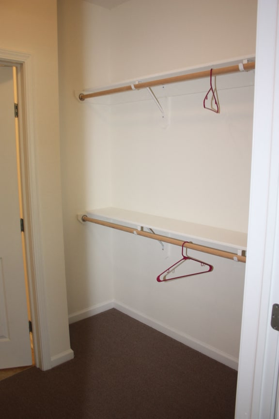 spacious closet in apartment