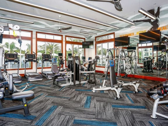 State Of The Art Fitness Center at Oasis at Shingle Creek, Kissimmee, FL, 34746