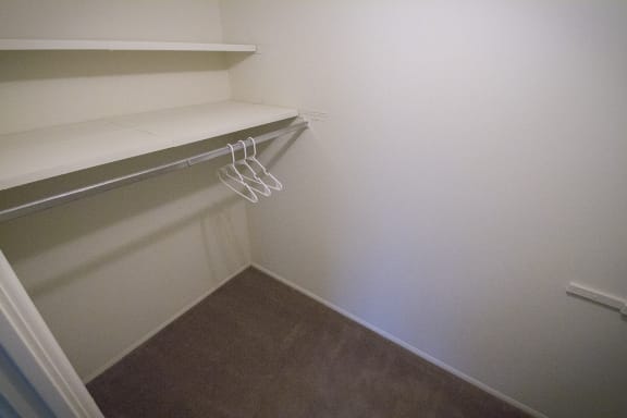This is a photo of the walk in closet at Lisa Ridge Apartments in Cincinnati, OH