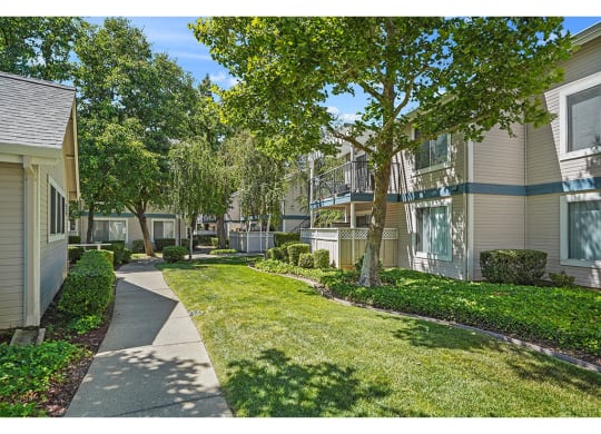 Lawn at Clayton Creek Apartments, California, 94521