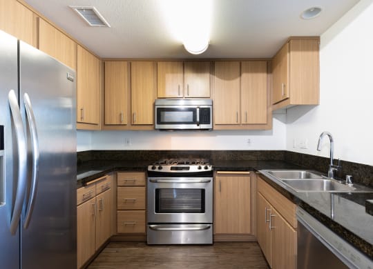 Gourmet Chef Kitchen with Stainless Steel Appliances, Northridge, CA, Legacy Apartment Homes, Luxury