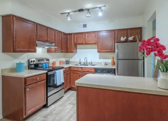 Model kitchen with stainless steel appliances